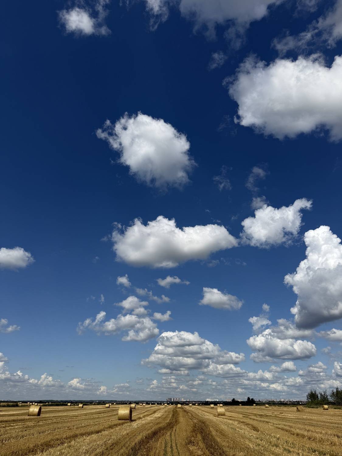 Photo #13747507