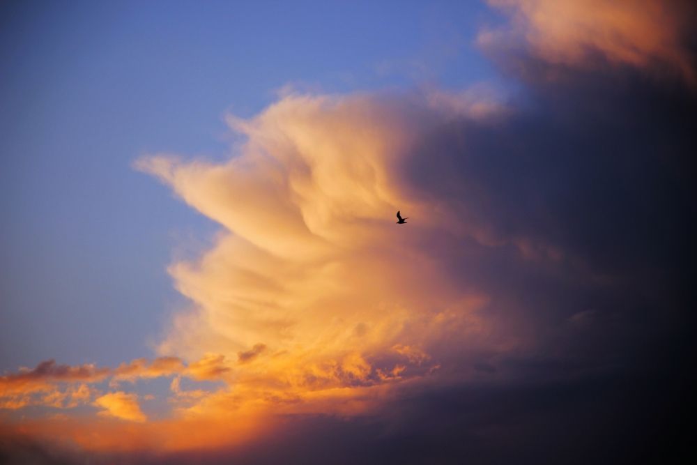 Photograph by Анна Любимова