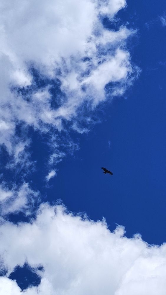 Photograph by Анна Морозова