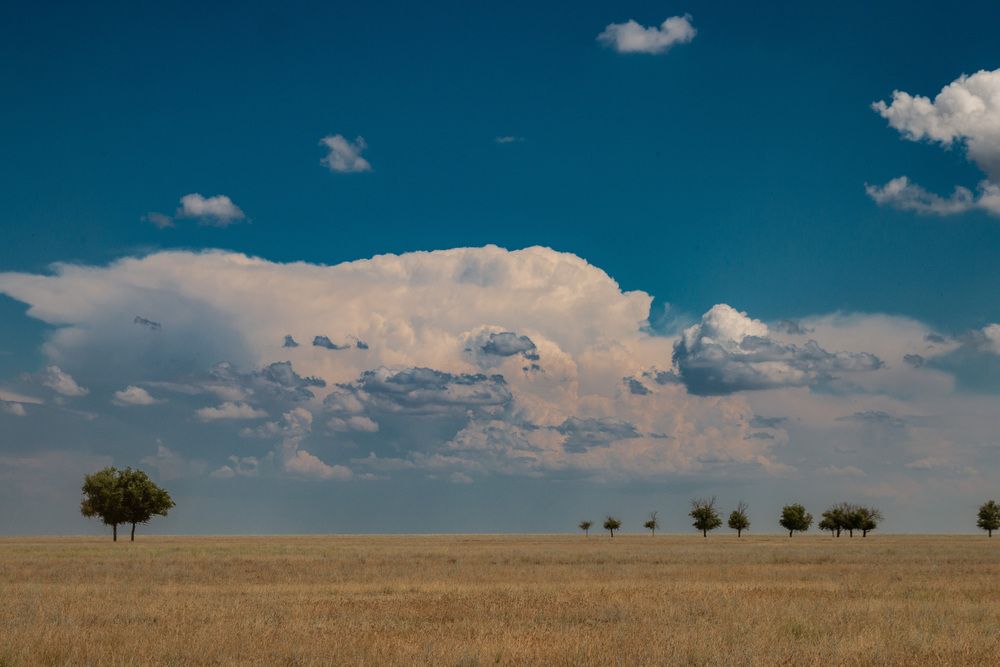 Photograph by Бугаев Олег
