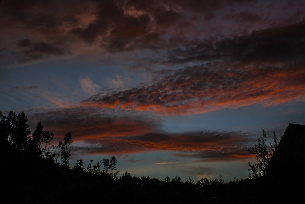 Photograph by Francisco Ferreira