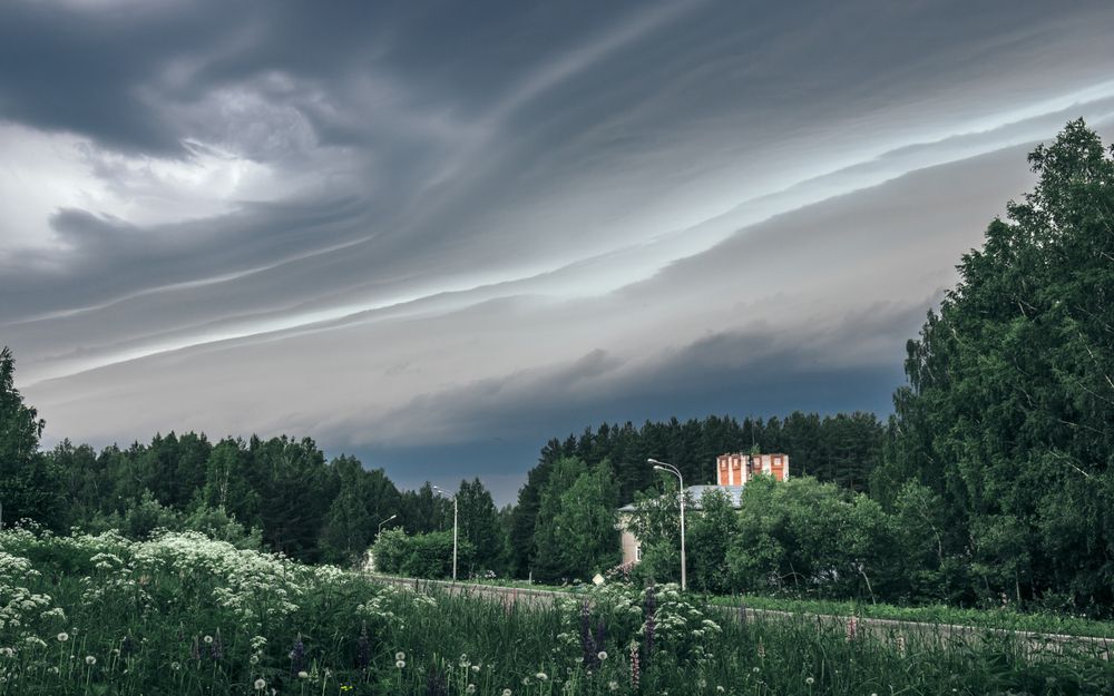 Photograph by Mark Devender