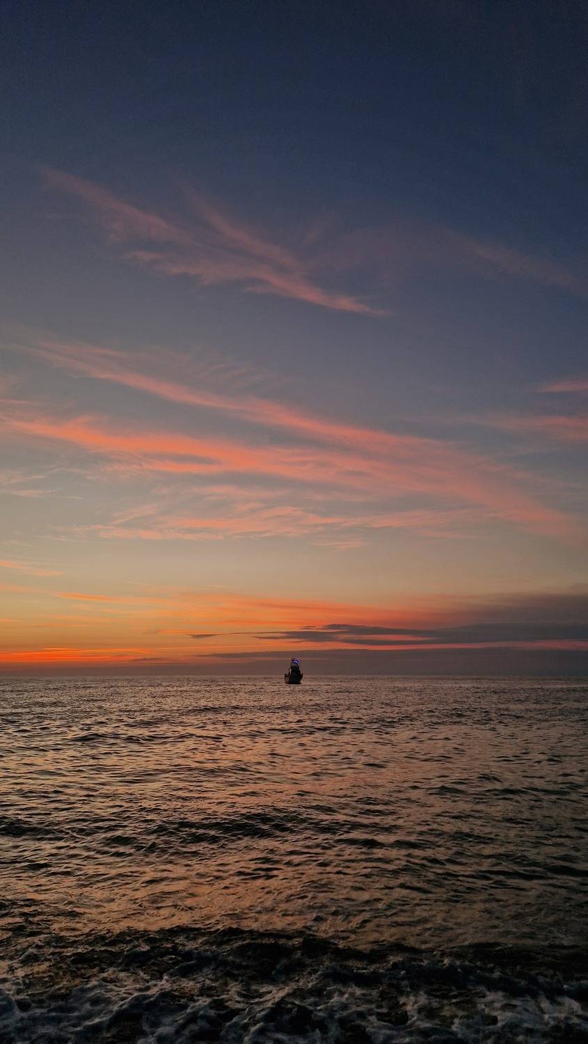 Photo #13747706
