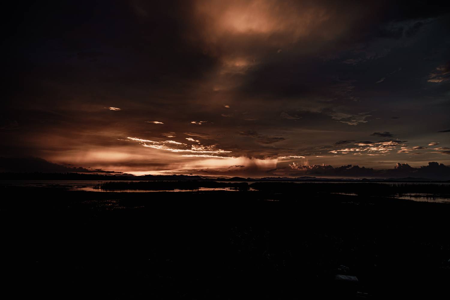 Photo #13747785