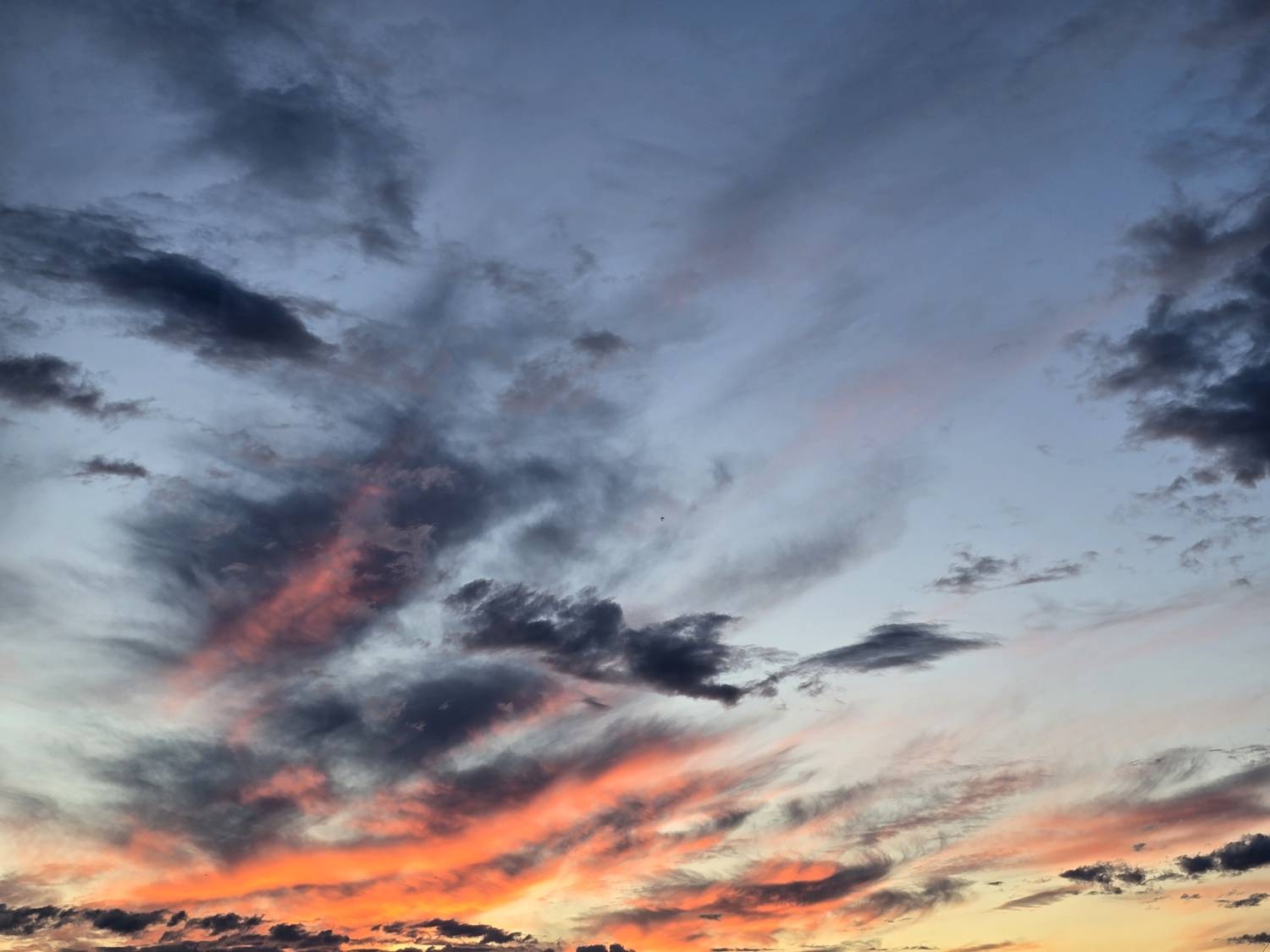 Photo #13747829