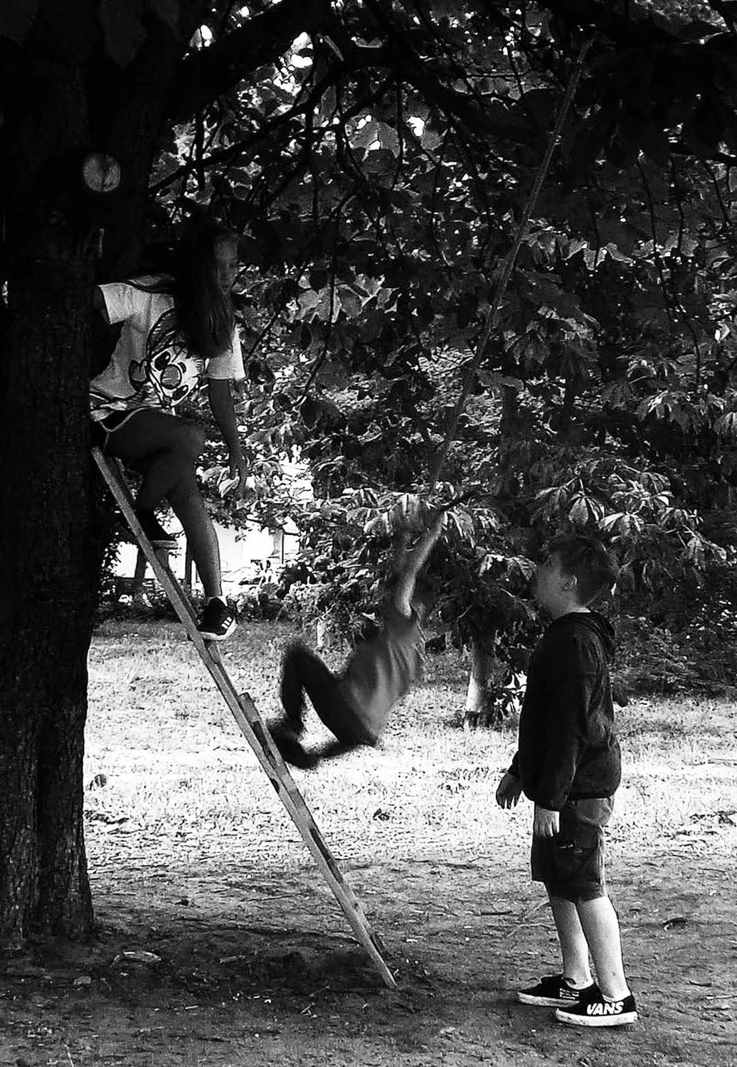 Photo #13747838