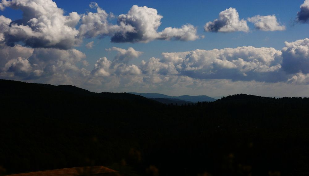 Photograph by Владимир Лобанов
