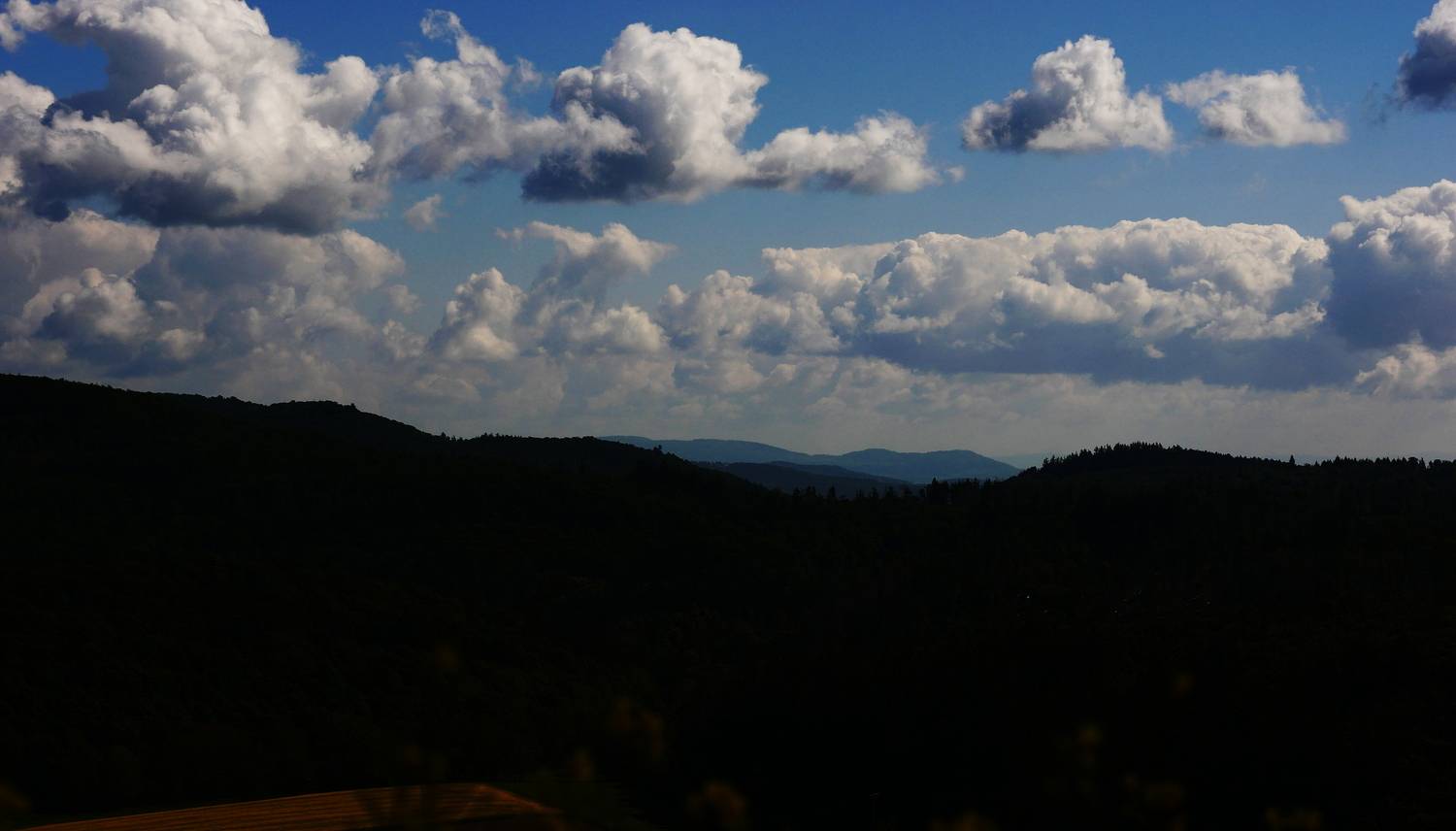 Photo #13747917