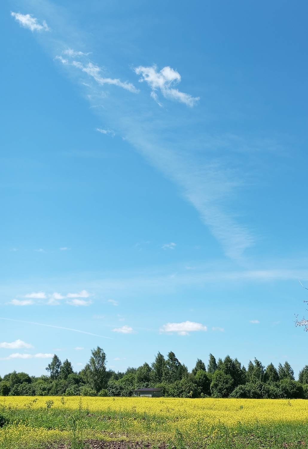 Photo #13747963