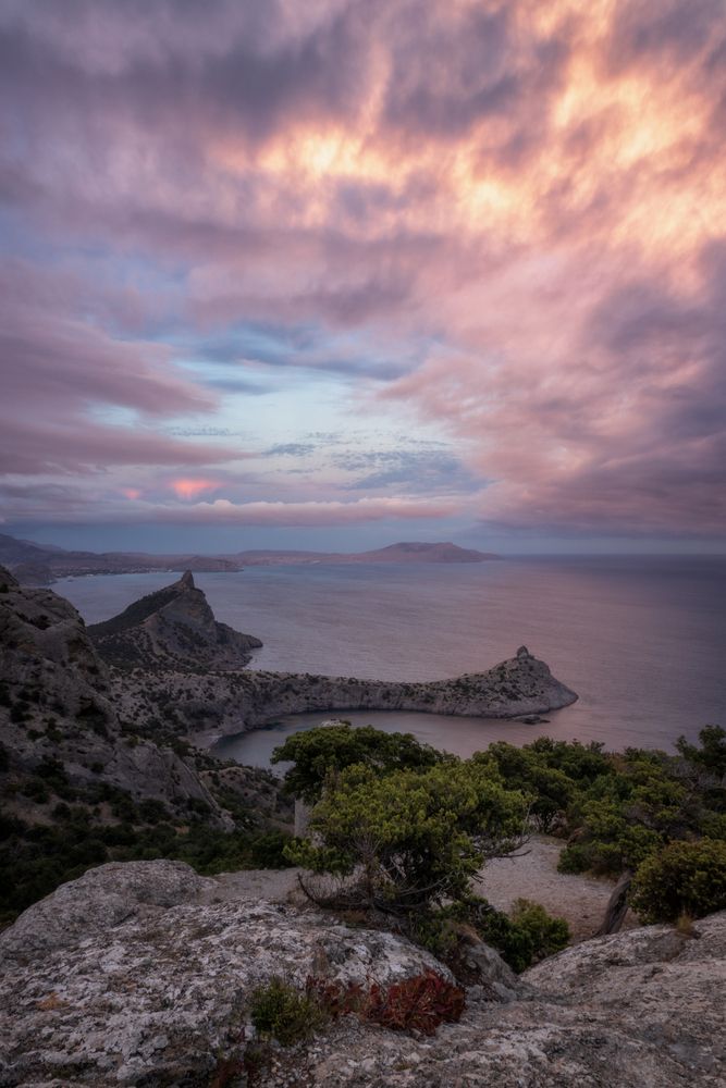 Photograph by Дмитренко Екатерина