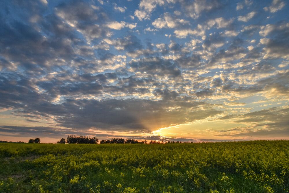 Photograph by Александра Плискова