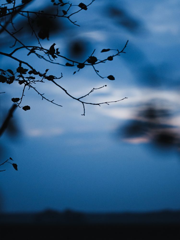 Photograph by Grushko Valeriya