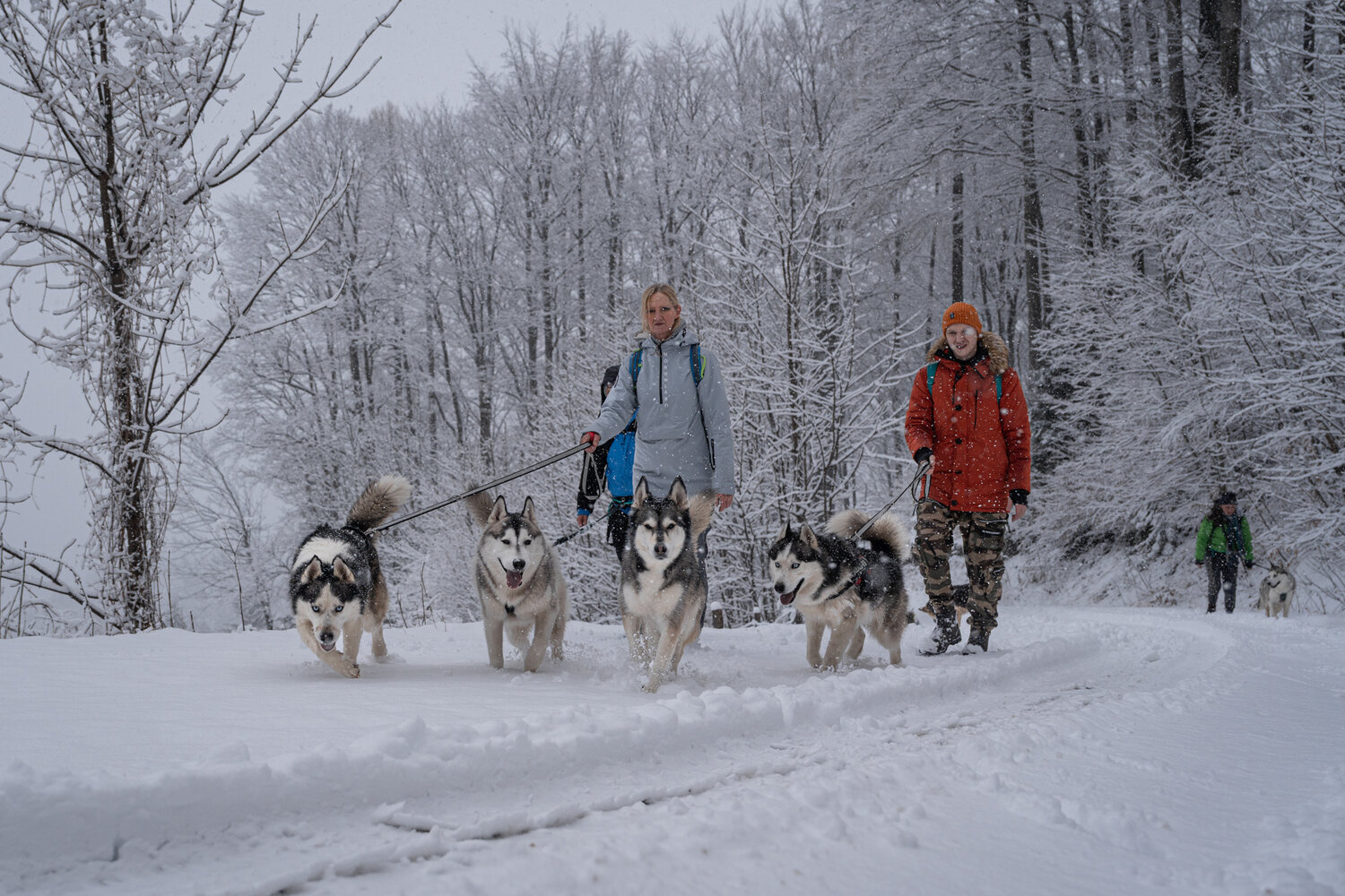 Photo #13748237