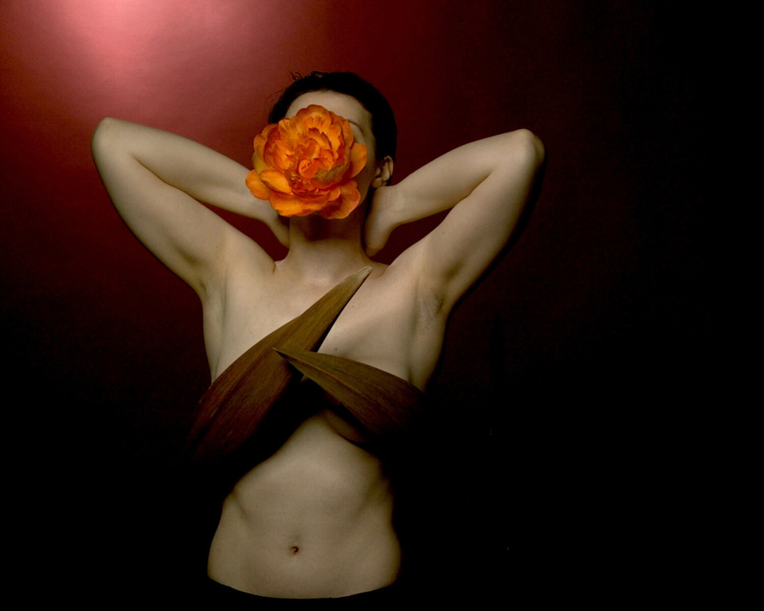 Photo #13748282