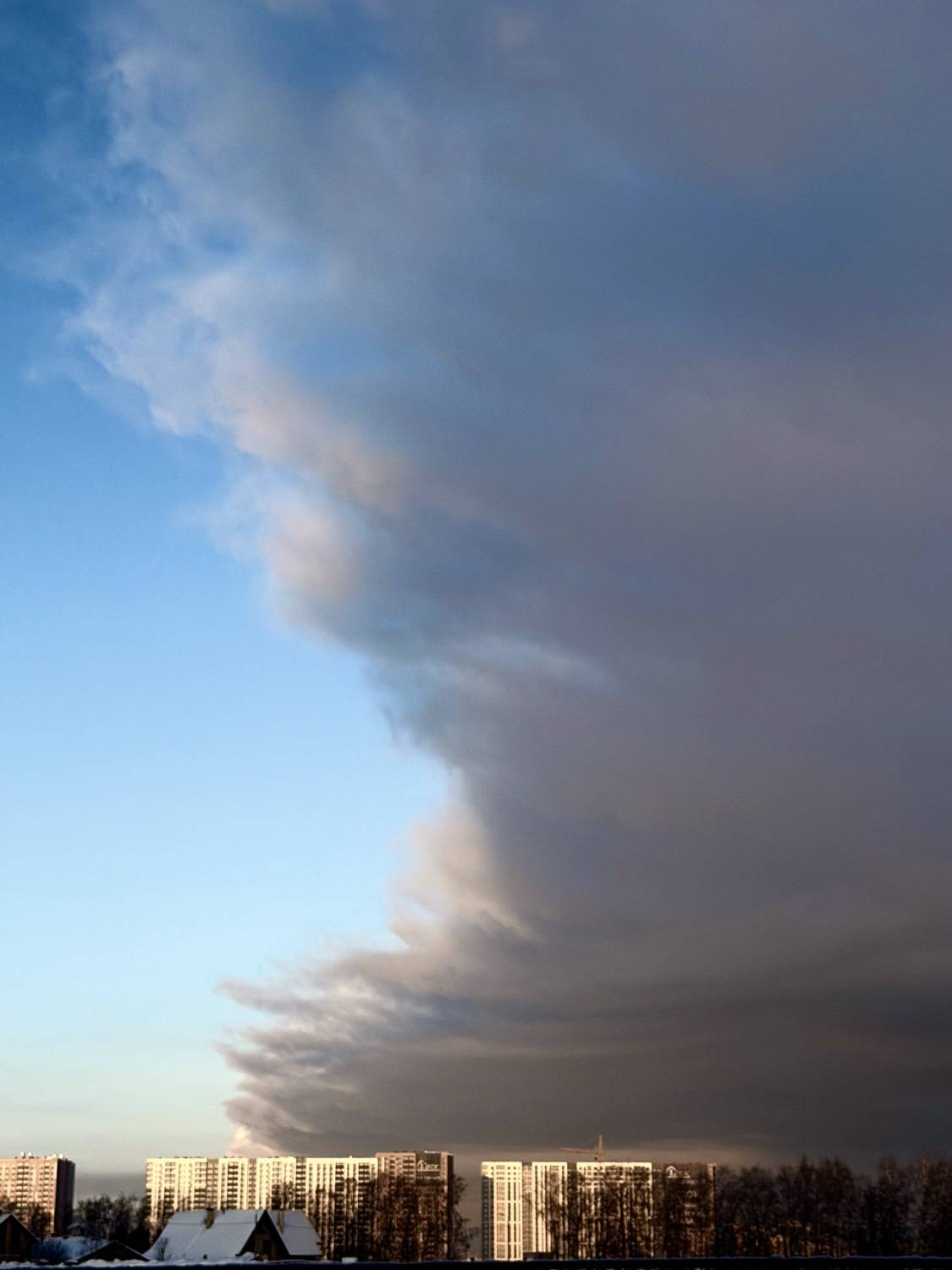 Photo #13748348