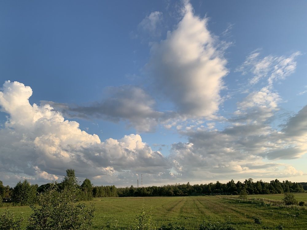 Photograph by Елена