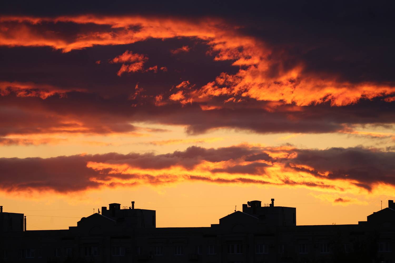 Photo #13748367