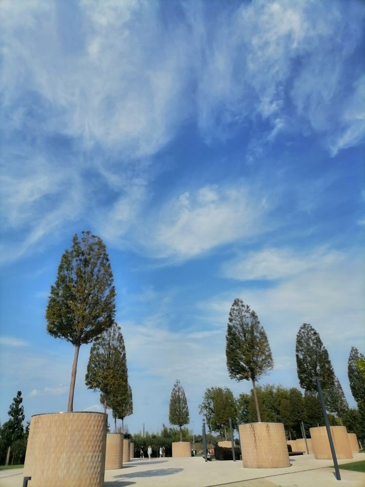 Photograph by Светлана Галаян