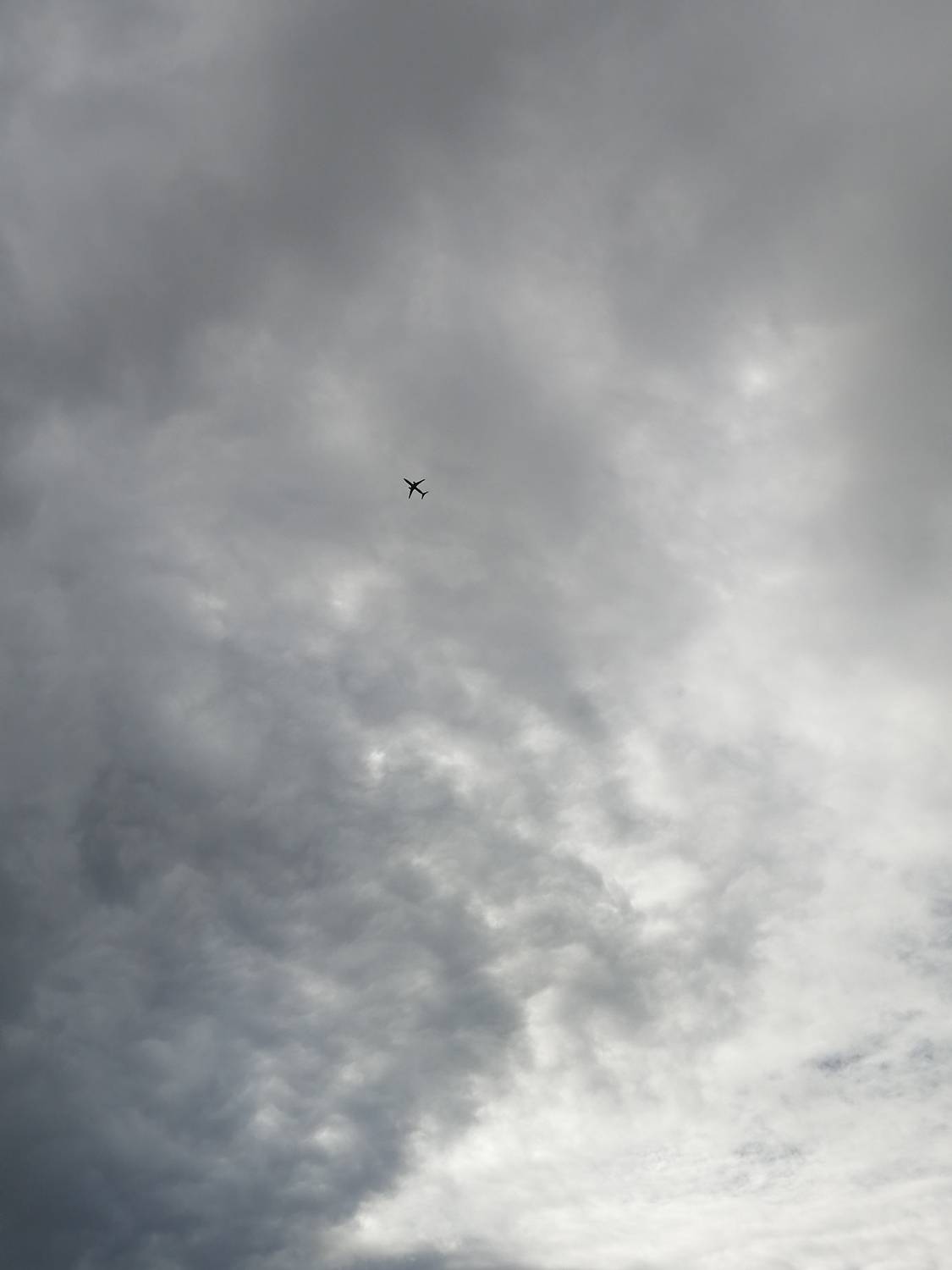 Photo #13748373