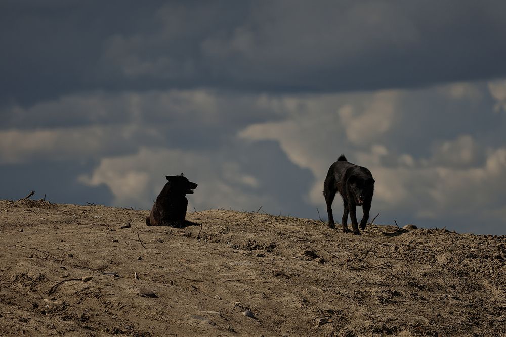Photograph by Яна Егорова