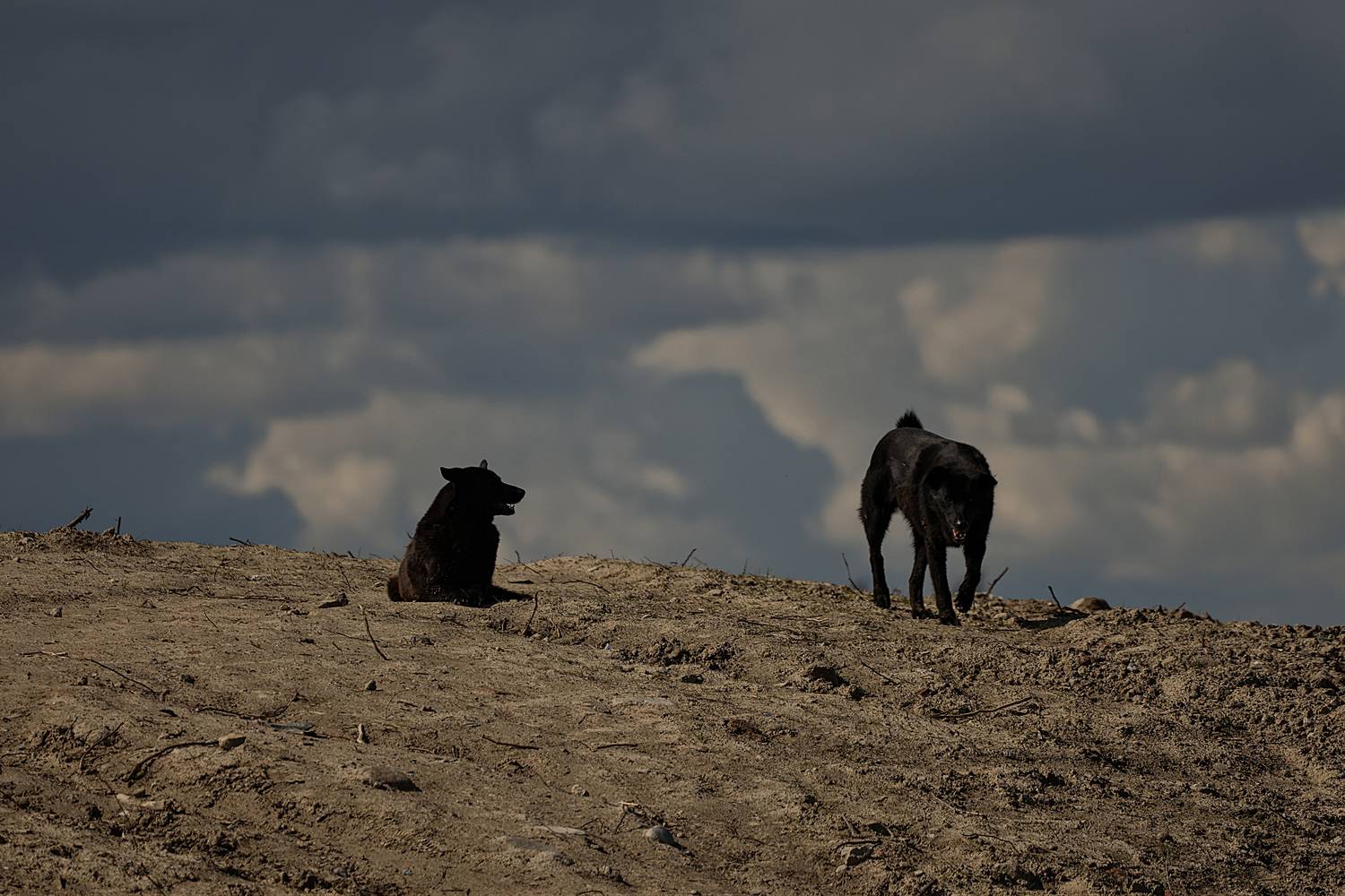 Photo #13748378
