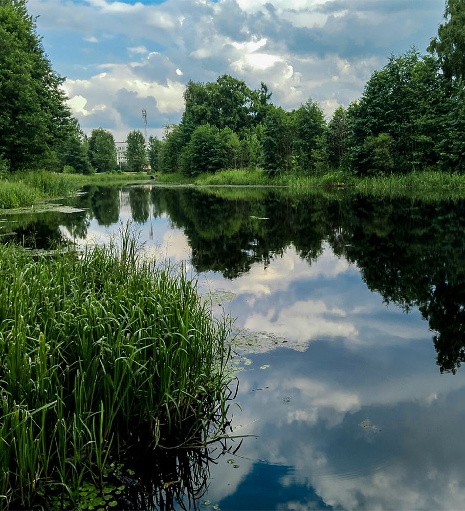 Photograph by Ирина Борисова