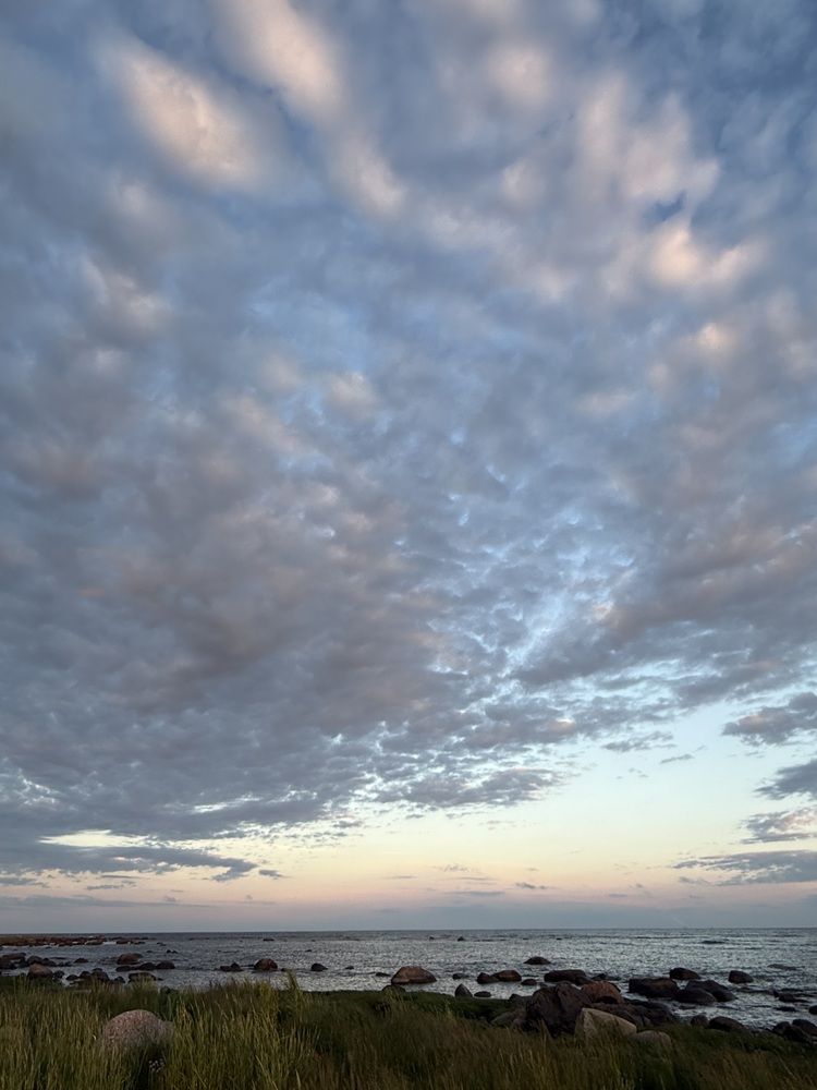 Photograph by Бондаренко Светлана