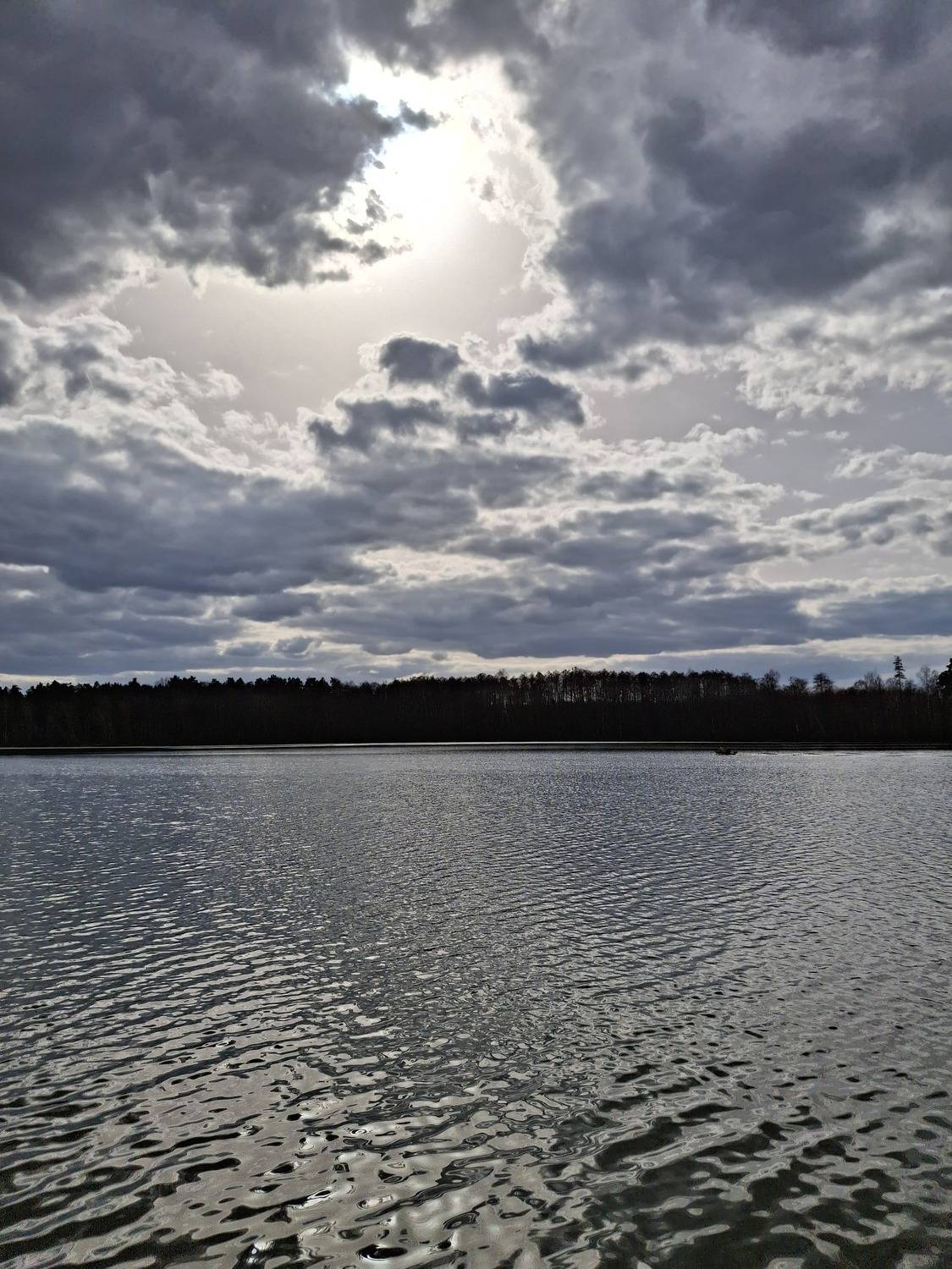 Photo #13748503