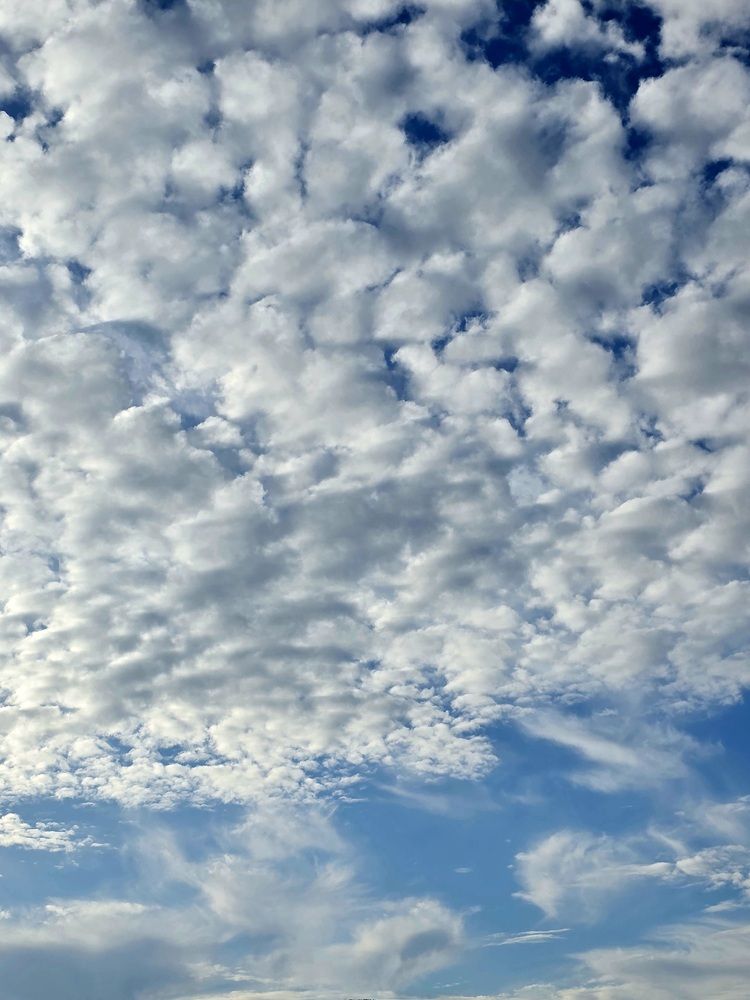 Photograph by Олеся Безлепкина