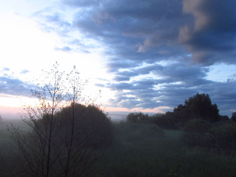 Photo #13748693