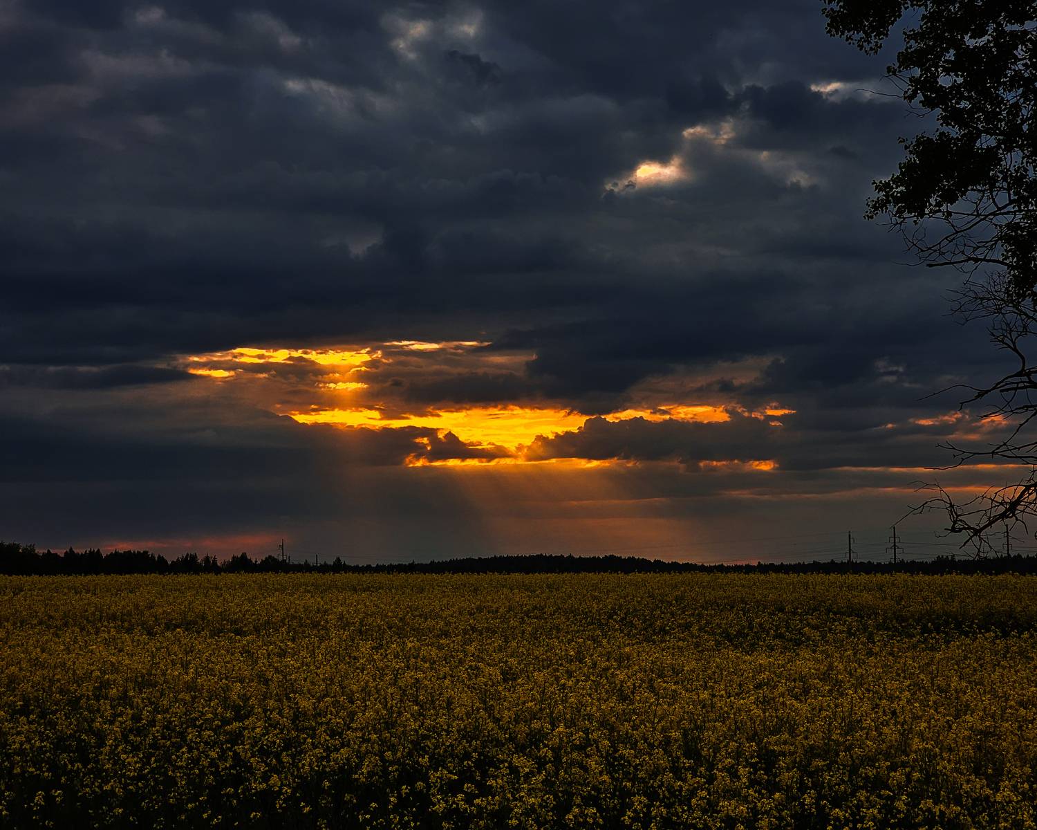 Photo #13748695