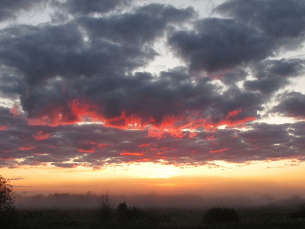 Photo #13748700
