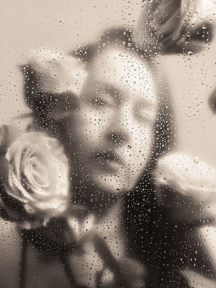 Фотография автора Екатерина Сенько