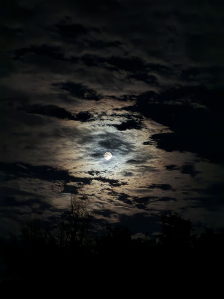 Photograph by Кристина Хавронова