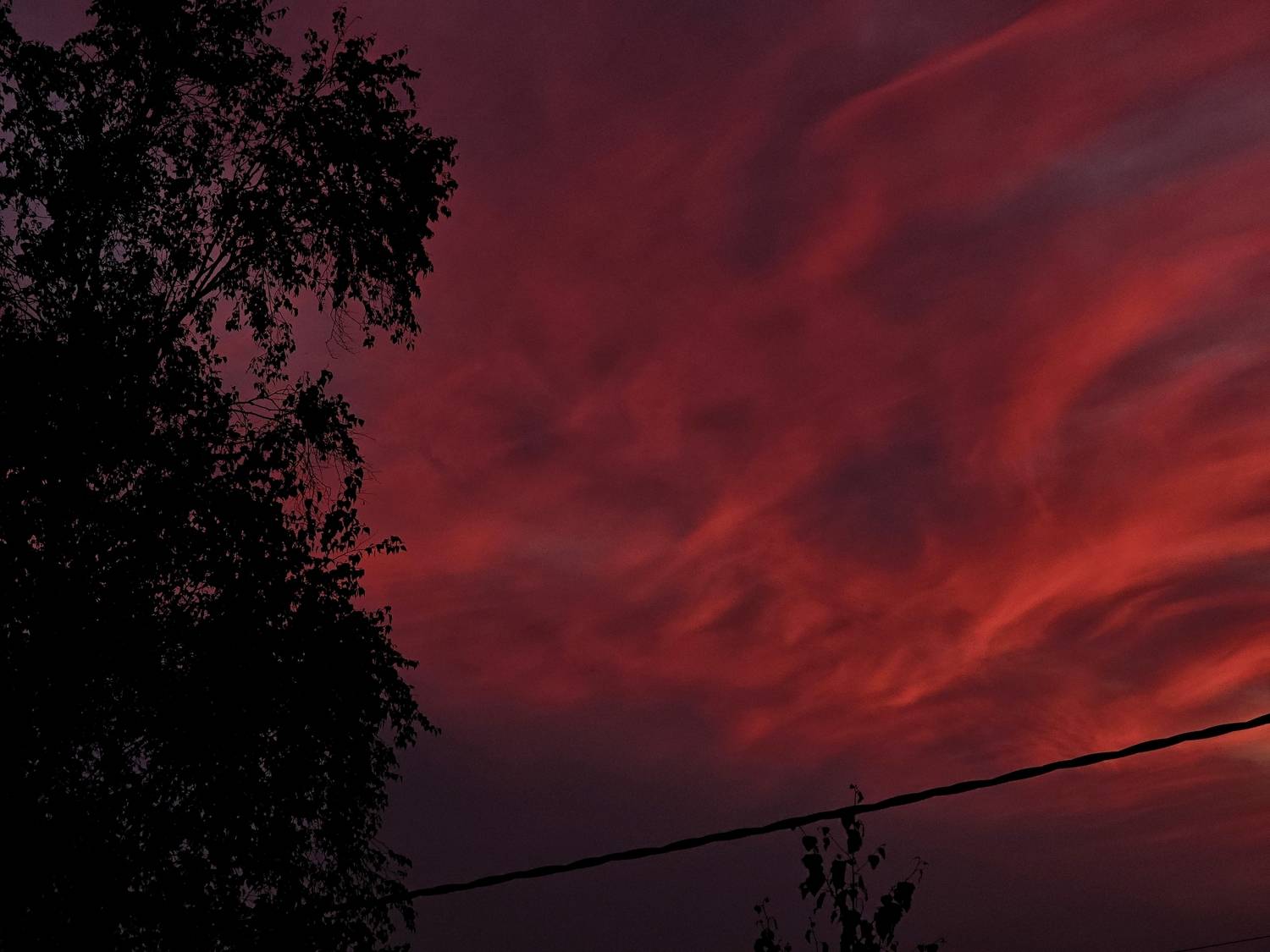 Photo #13748811