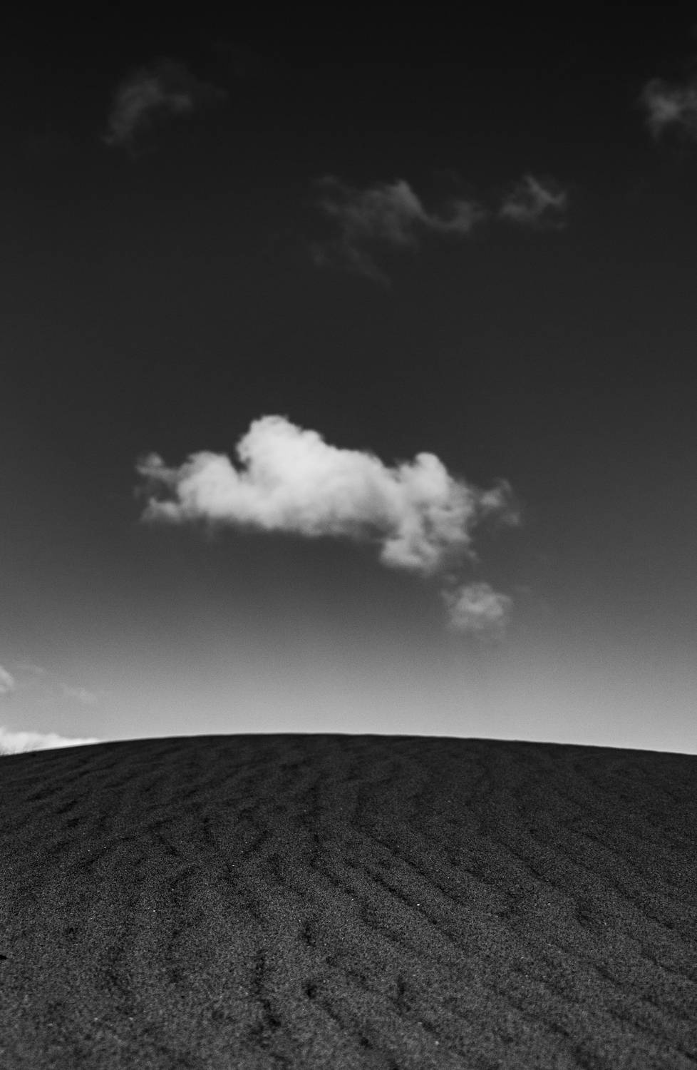 Photo #13748877