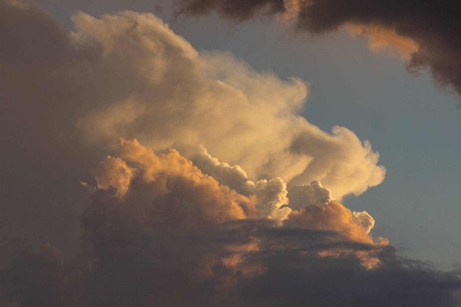 Photo #13748941