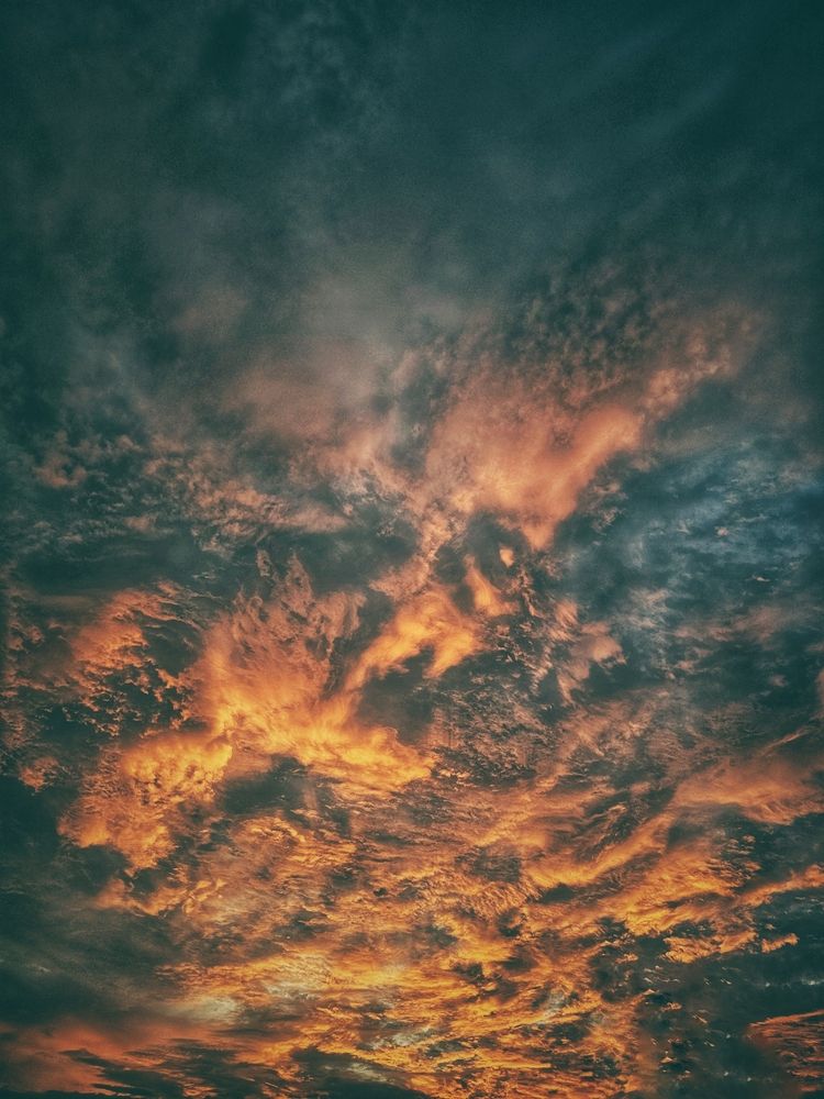 Photograph by Vishnu Prasad