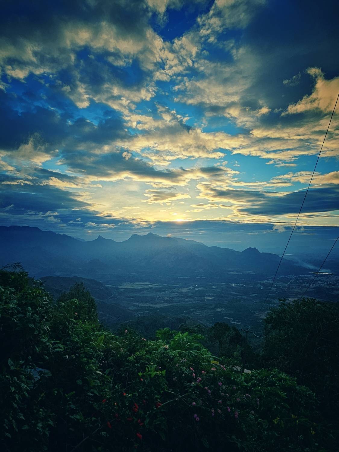 Photo #13748971