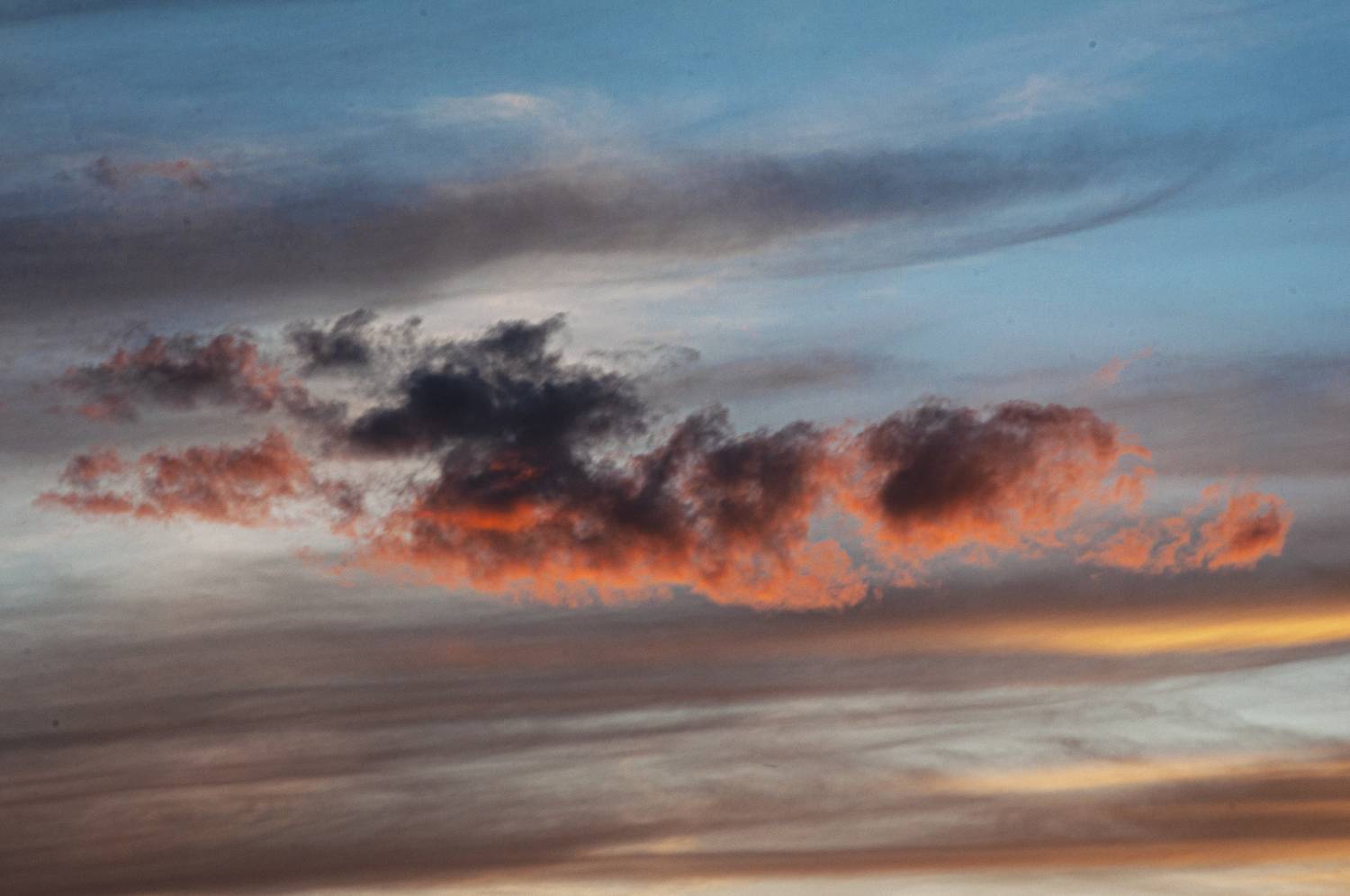 Photo #13749108