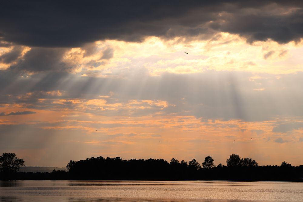 Photograph by Тамара Котельникова