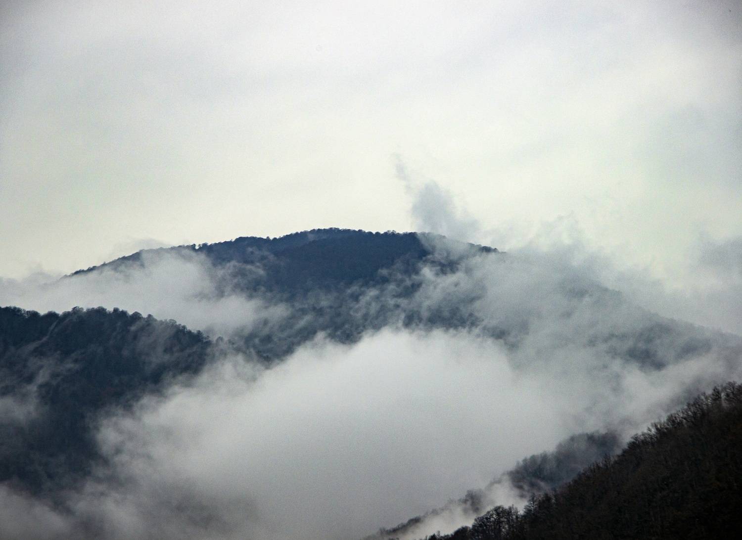 Photo #13749140