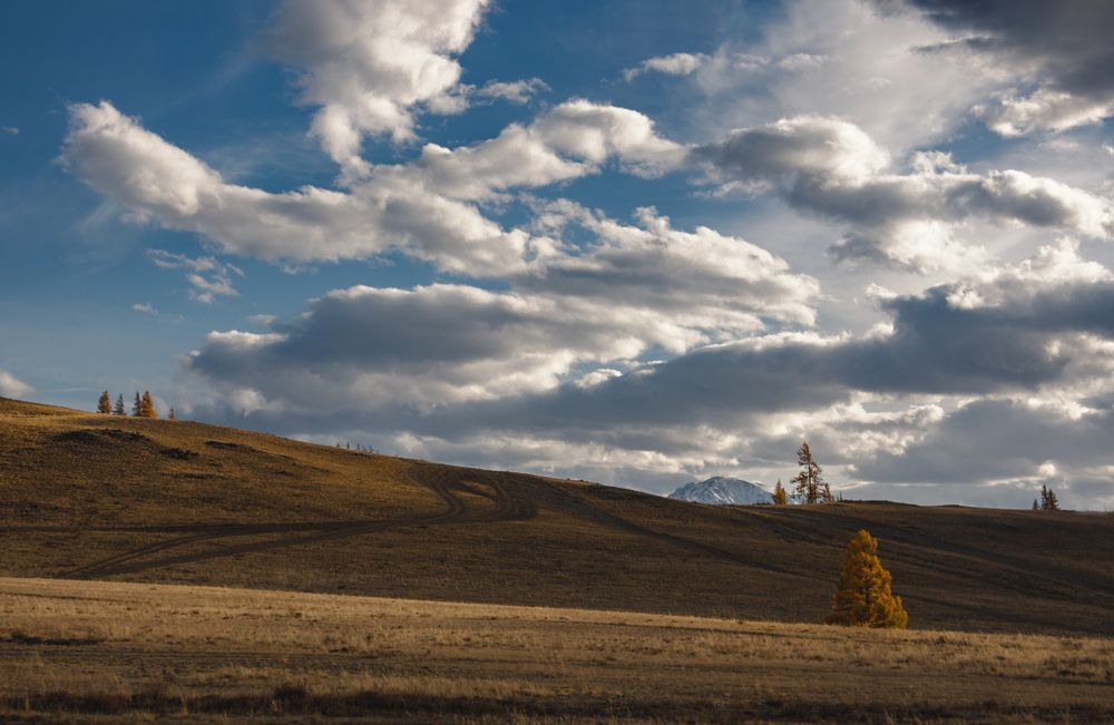 Photograph by Юдинских Марина