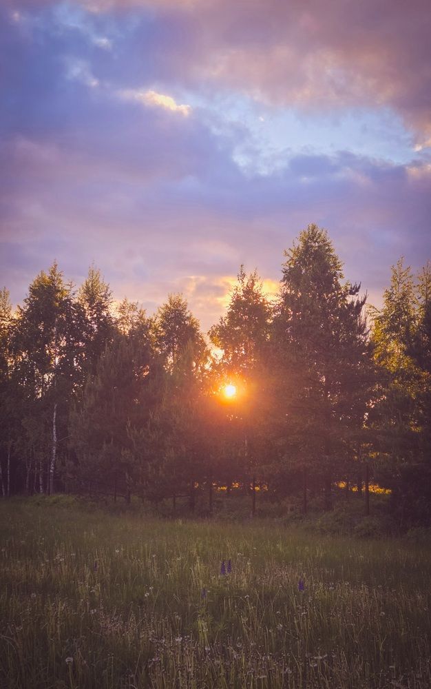 Летний закат