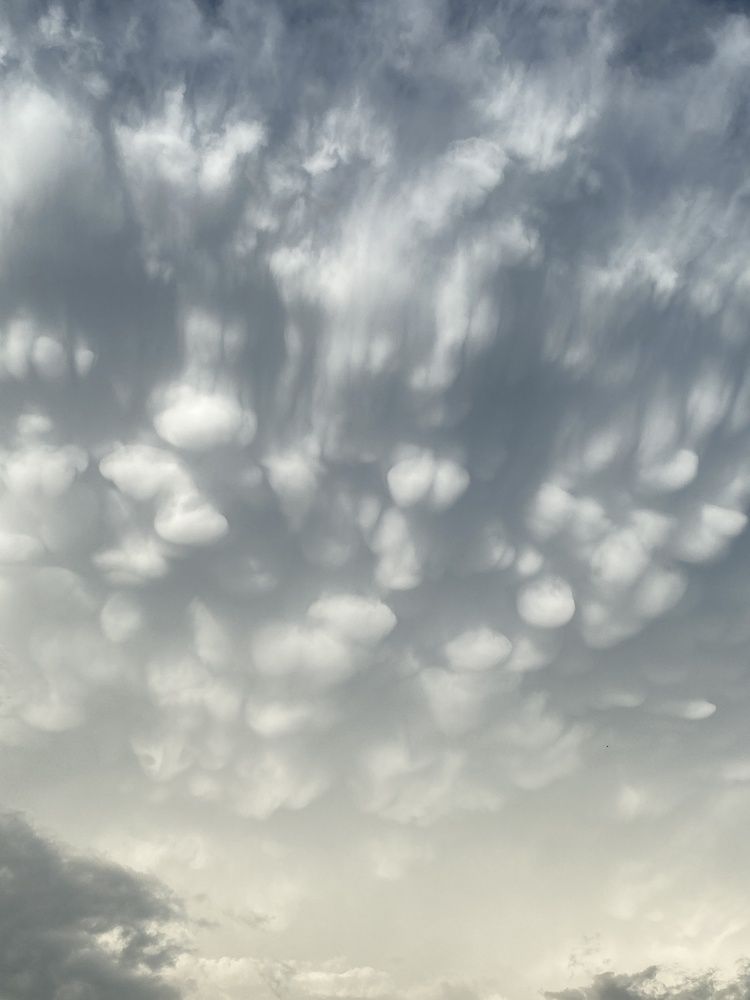 Photograph by Татьяна Двойченкова