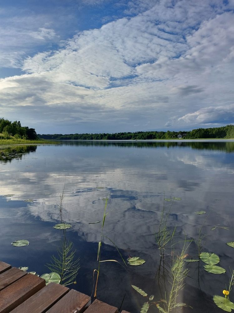Photograph by Юлия Шумейко