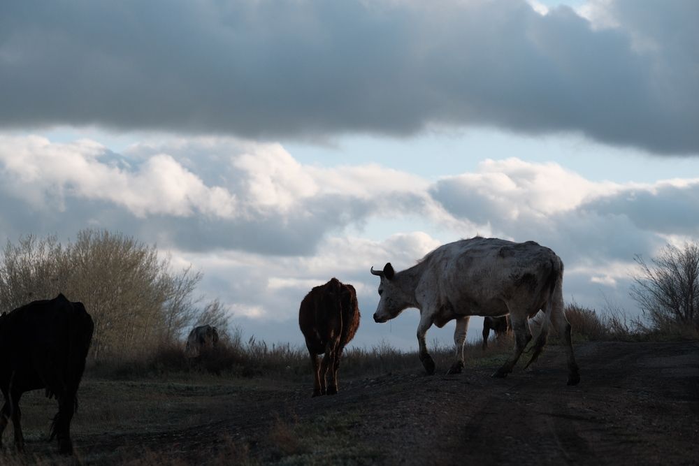 Photograph by Яна Истоцкая