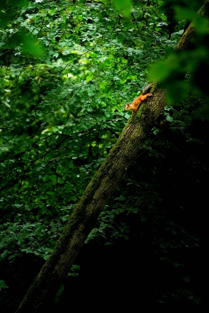 Photograph by Евгений Самарев