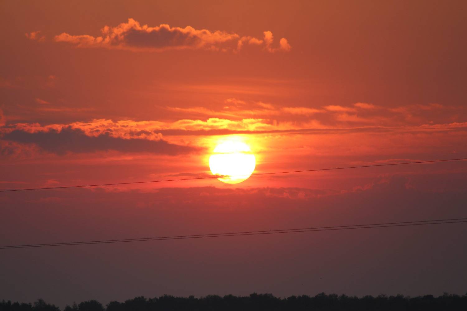 Photo #13749506