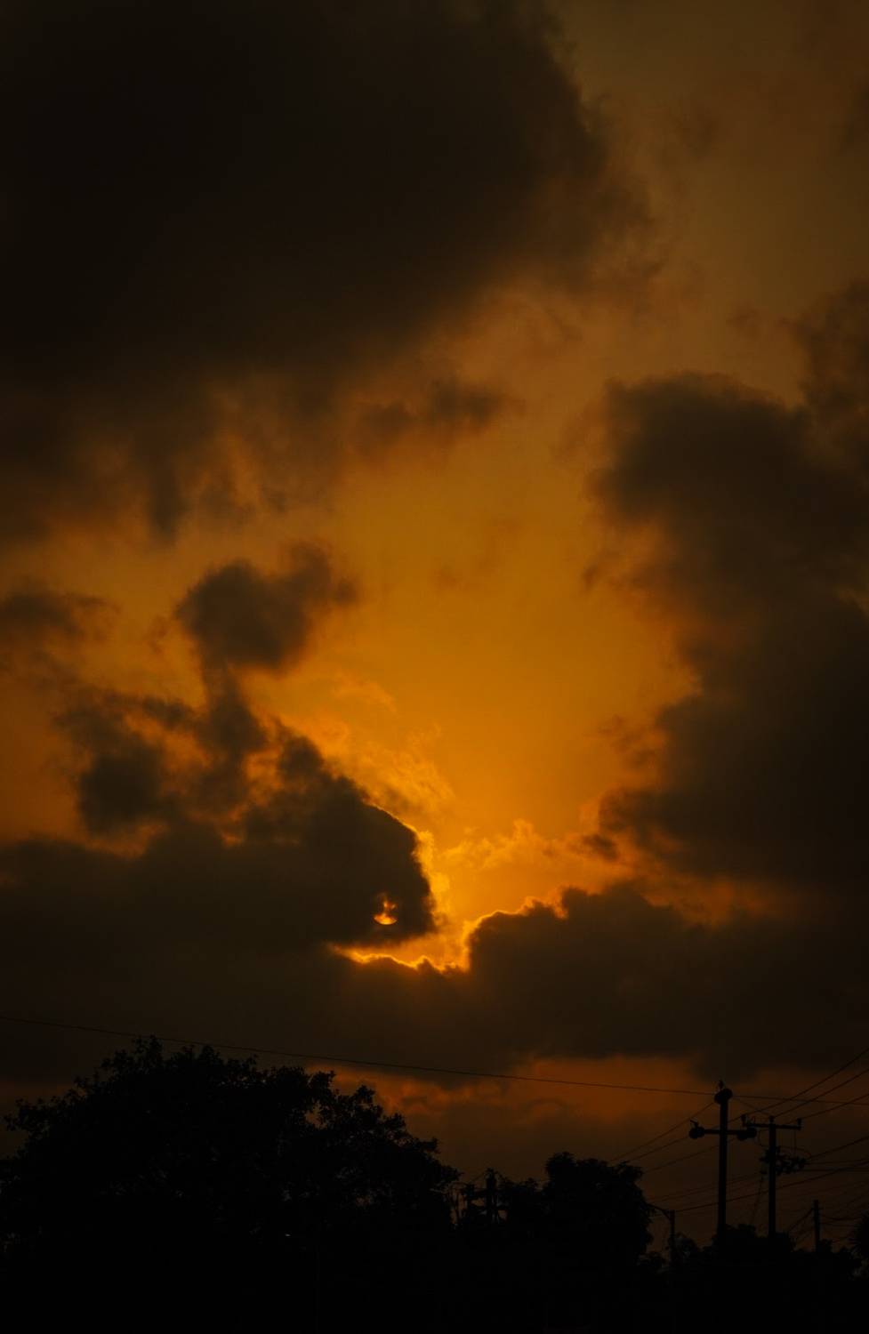 Photo #13749538